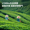 Jingdong freshly made Duomingqian Maojian green tea 250g canned tea buds to drink by yourself Jingdong self-operated gift bag