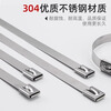 304 stainless steel cable tie self-locking metal cable tie room outdoor marine binding belt strong cable tie tensioner 4.6*200mm/10 pieces