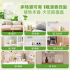 EraClean toilet deodorizing and deodorizing fragrance bathroom aromatherapy indoor bedroom long-lasting fragrance air freshener