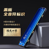 Guoguang 24-hole beginner's entry-level scale commemorative polyphonic harmonica in C key (gemstone) gift box