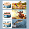 鲜朗主食罐猫咪营养幼猫成猫主粮全价湿粮猫罐头100g*6罐