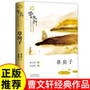 Complete 2 volumes, Straw House + Synchronous Copybook, Second Volume of Children's Literature for Grades 3, 4, 5 and 6, Original Complete Edition, Cao Wenxuan's must-read extracurricular book