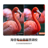 Hisense Dabai Best Friend Phone X8 Pro National Subsidy 32-inch 4K 3h fast charging 12h long battery life large tablet AI new upgrade intelligent interaction one screen multiple forms