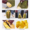 Zhenzao jackfruit opening tool coring knife core digging knife shovel fruit tool jackfruit opening tool