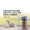 Dyson BP04 air purifier purifies large areas of odor, allergens, removes formaldehyde, filters out pollen and pet hair, medical grade, pet care certification, blue and gold