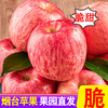 Sweet and drunk Yantai Apple Qixia Red Fuji fresh fruit fresh Shandong specialty crispy sweet whole box flat fruit gift box gift Red Fuji net weight 4.5 catties 75-80mm