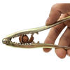 Huaixi hazelnut clips, hickory pliers, pine nut openers, dried fruit factory price, pecan nuts, pistachios, small walnuts, single pine nut clips