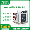 Schneider series vacuum circuit breaker HVX12-25-06 630A/12/16/20/25/31/40 HVX12-25-06 630A E handcart type