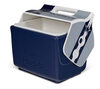 IGLOO NFL Dallas Cowboys 26.4L cooler portable outdoor camping picnic