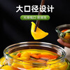 He Jiagong pickle jar glass pickle jar household thickened pickle jar sauerkraut jar sealed pickled salted duck eggs 6 pounds round buckle style