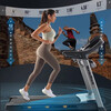 Official direct sales home treadmill fitness special folding shock-absorbing fitness equipment NordicTr T5.5S 25-speed electric slope/2.75 hp
