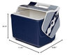 IGLOO NFL Dallas Cowboys 26.4L cooler portable outdoor camping picnic