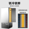 Integrated quick-freezer air-cooled tray freezer commercial mousse dough deep-cooling quick-freezer seafood sea cucumber raw embryo buns dumplings fried dough sticks seafood freezer kitchen vertical quick-freezer -45 quick-freezer 3 trays