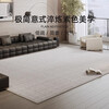 AOVOC carpet living room 2025 new no-wash wipeable light luxury high-end modern carpet mat Langyao 02 2*3 meters