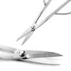 Baichao all stainless steel gardening shears, leaf bud shears, bud scissors, flower arrangement, bonsai branch and leaf shears, pruning twig shears, thickened long pole, main picture