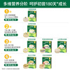 Biochi organic infants and young children colorful calcium iron zinc shell noodles cod beef pork liver flavor 175g baby noodles dried noodles complementary food
