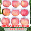Shandong Yantai Red Fuji Apple, crispy and sweet rock candy heart, fresh whole box fresh gift box, seasonal, 9 catties package, the most cost-effective, net weight 8.5 catties, export-grade fruit, super sweet