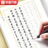 Huaxia Wanjuan calligraphy practice calligraphy practice book, a special exercise book for Wu Yusheng's hard pen, students and adults' cursive writing pen training pen, boys and girls' running calligraphy copybook, red handwriting calligraphy practice calligraphy practice copybook, 5 books