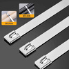 Deqi 304 stainless steel cable tie metal wire fixed cable 4.6*300mm 30 pieces/pack