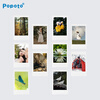 POPOTO instant photo paper package color photo mini instant camera universal photo paper (tinfoil paper packaging) white edge photo paper 10 pieces + 1 transparent protective case