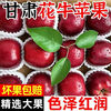Origin: Gansu Tianshui Huaniu Apple, seasonal fresh fruit, sweet apple powder, 12 pieces in a selected gift box