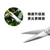 Baichao all stainless steel gardening shears, leaf bud shears, bud scissors, flower arrangement, bonsai branch and leaf shears, pruning twig shears, thickened long pole, main picture