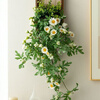LZJVins style small daisy wall hanging artificial flower vines and vine strips wrapped around the wall to block the decoration of green plants and artificial flowers wall decorations. Daisy wall hanging comes with free traceless nails. A complete set