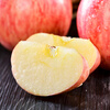 Jingxiansheng Shandong Yantai Red Fuji Apple, net weight 9 pounds, fruit diameter 75mm+, fresh fruit, straight from the source