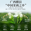 A cup of fragrant tea jasmine tea special 500g 2025 new tea new year gift box jasmine green tea bulk for your own consumption