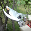 Alice Miyamoto Japan imported steel pruning scissors fruit tree pruning shears flower gardening scissors labor-saving scissors household sharp scissors imported steel pruning shears