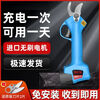 XMSJ electric branch shears electric pruning shears rechargeable labor-saving thick branch shears garden fruit tree lithium electric shears garden pruning 3 cm 1 battery free sk5 blade + waist bag plastic box upgraded to the third generation all-copper brushless motor strong power