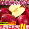Origin: Gansu Tianshui Huaniu Apple, seasonal fresh fruit, sweet apple powder, 12 pieces in a selected gift box