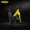 Technogym Italian original imported spinning GROUP CYCLE high-end home gym bike without console