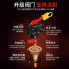 21B vehicle-mounted water-based high temperature resistant and explosion-proof fire extinguisher for home vehicles, private cars, small cars, portable authentic 620ml water-based 21B fire extinguisher, two bottles