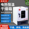 TAISITE Tianjin electric constant temperature drying oven WHL series natural convection timing operation deviation correction WHL125T