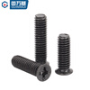 Guwanji iron black small countersunk head thin head screw FM small flat head machine wire cross screw bolt accessories 2M2.5M3M4 M2x3 head 3.0 (500 pieces)