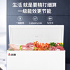 CHIGO single temperature freezer 272 liter household commercial small freezer micro-frost first-level energy efficiency refrigeration-freezing conversion horizontal freezer trade-in BD/BC-272DW