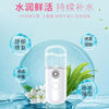 Essential for travel, hydrating instrument, nano sprayer, oxygen injection, portable facial moisturizing, small facial steamer, cold spray, handheld humidifying beauty instrument, pure white