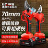 Silent grass German imported Lichen Technology electric scissors branch pruning lithium battery fruit tree pruning shears high-power garden without 6.0 type LCD telescopic pole + 2 electricity to send 5 knives