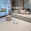 Saibos waterproof and anti-fouling carpet white moonlight French light luxury high-end simple cream style living room anti-slip 200*300CM