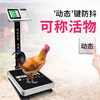 Zhizun (ZHIZUN) waterproof electronic weighing scale for business use, commercial platform scale, stall scale, floor scale, 300 kg kitchen electronic scale, aquatic seafood pricing scale, fruit express scale, red letter model 200 kg 32*42, indoor use for the elderly