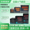 TOKY Dongqi temperature control meter AI208-4-RB10 6 SB10 automatic AI518-7-RC10 smart 9-dc10 AI208-4-RB10