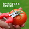 Vinoa stainless steel nest-type fruit picking scissors, special scissors for tomatoes and apples, orange picking scissors, fruit handle concave pruning scissors, stainless steel nest scissors, 1 pack, upgrade belt