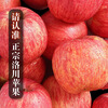 Luochuan Apple, Shaanxi Yan'an specialty Red Fuji seasonal apple fruit gift box, fresh apples, fresh, crispy and sweet, whole box wholesale, net weight 8.5 catties, 70-75mm color box, hot sale