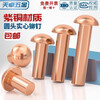 Tianzhuo Hardware National Standard Pure Red Copper Full Copper Percussion Solid Round Head Rivet Semi-round Head Yuan Cap Copper Nail M2M3M4M5M6M8mm M8*50-3 pcs