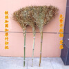 Large broom pure handmade large bamboo broom outdoor large golden branch large broom factory yard sweeping snow large bamboo broom sanitation sweep iron wire reinforced leafless bamboo broom