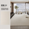 AOVOC carpet living room 2025 new no-wash wipeable light luxury high-end modern carpet mat Langyao 02 2*3 meters