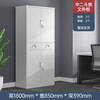 Ni Zhier Iron File Cabinet Financial Voucher Cabinet Steel File Cabinet Office Information Cabinet Low Cabinet Multi-door Lockable Storage Cabinet Large Equipment File Cabinet 1800*850*390
