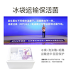 Xinyi SINE Cui Yutao team jointly researched P16+ children's probiotics for baby development and growth dry rice fungus SINE006 15 pieces * 2 boxes dry rice, puff-accelerated colonization package