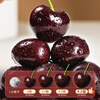 Jingdida Chile imported cherries 2 pounds JJJ grade extra large fruit single fruit 30mm + air freight fresh fruit direct from the source